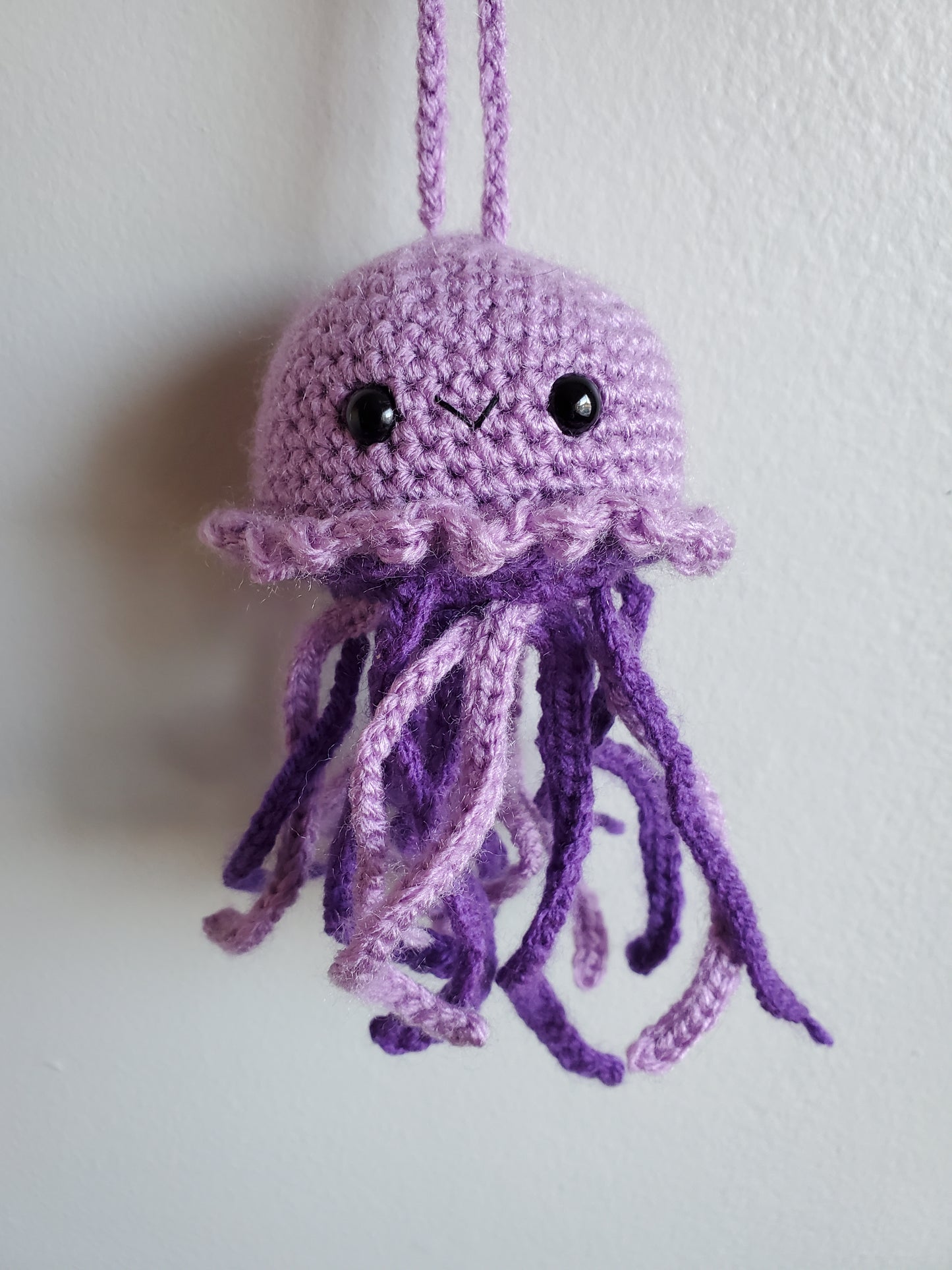 Jellyfish