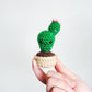 Mini Succulents Set
