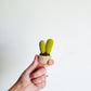 Mini Succulents Set