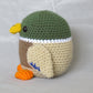 Duck