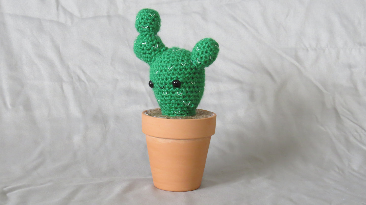 Prickly Cactus