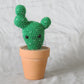 Prickly Cactus