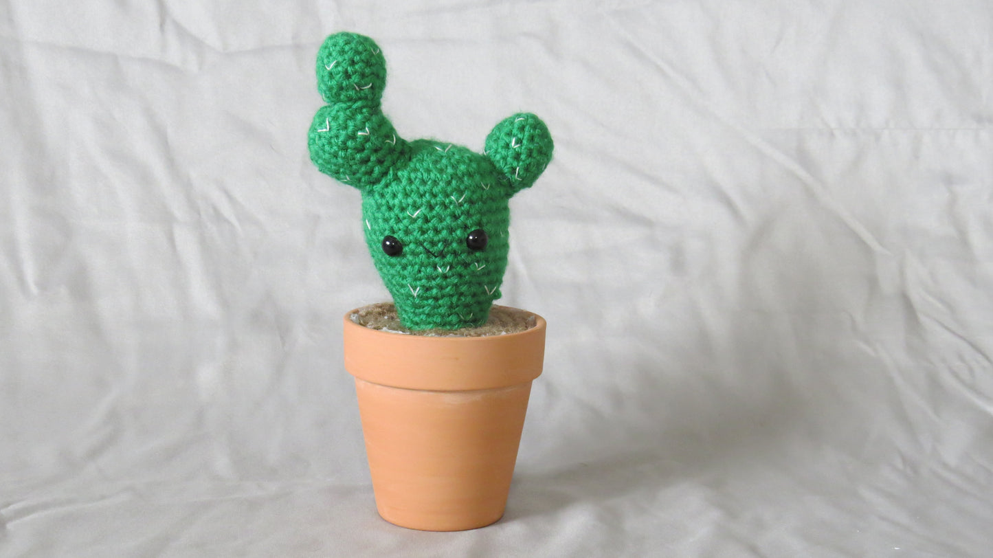 Prickly Cactus