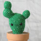 Prickly Cactus