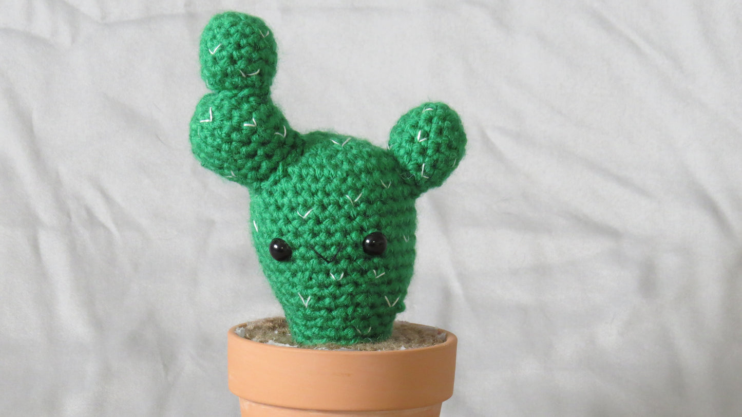 Prickly Cactus