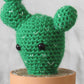 Prickly Cactus