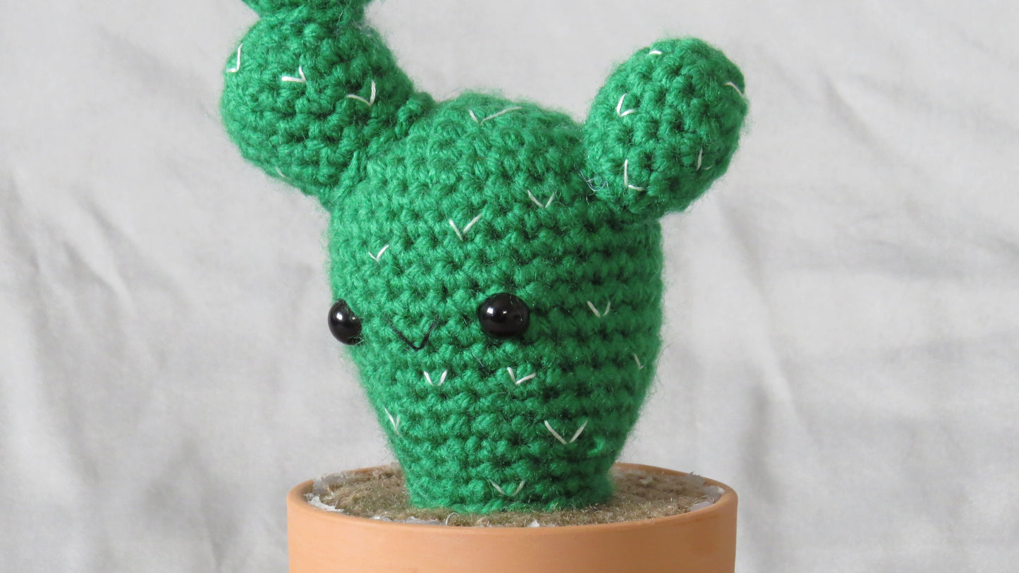 Prickly Cactus