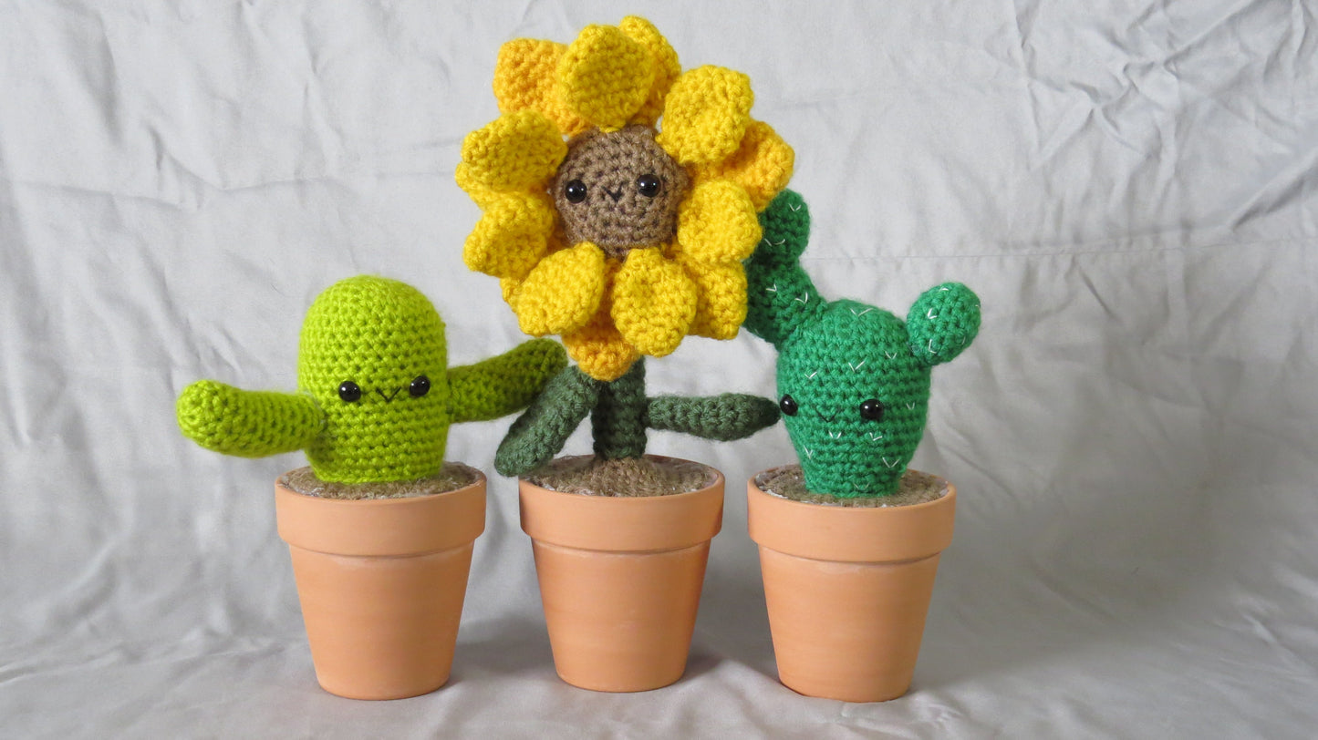 Ready to Ship Cactus